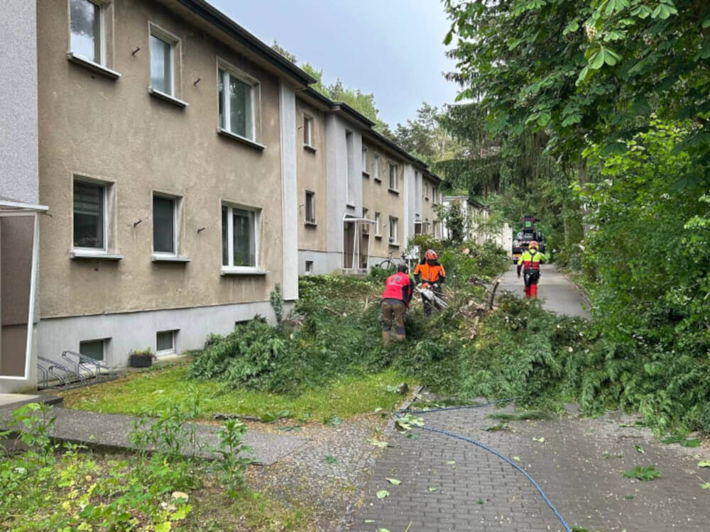 Sanierung Franz-Mehring-Straße 7-9 in Bernau, Baufreiheit schaffen